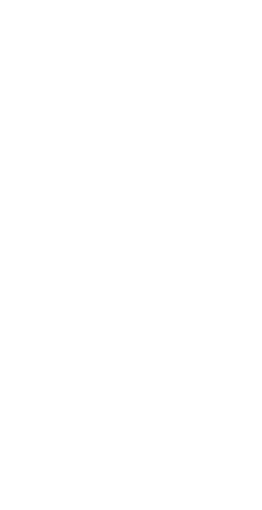雪のように淡く儚く