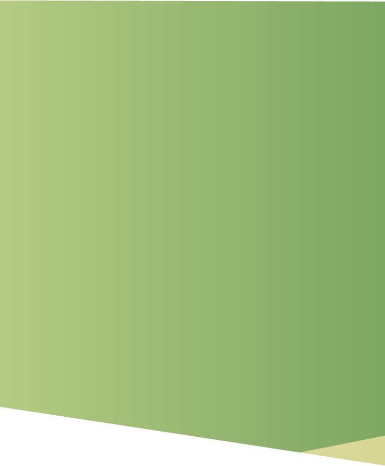 生わらび餅（和三盆）